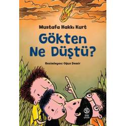 Gökten Ne Düştü?