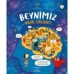 Beynimiz Nasıl Çalışır?