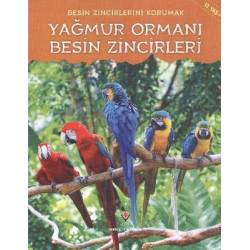Yağmur Ormanı Besin Zincirleri