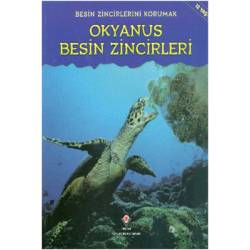 Okyanus Besin Zincirleri