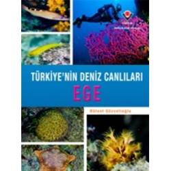 Ege - Türkiye'nin Deniz...