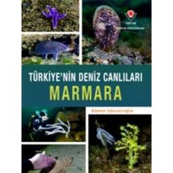 Marmara - Türkiye'nin Deniz...