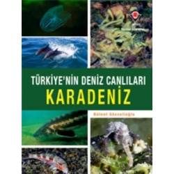 Karadeniz - Türkiye'nin...