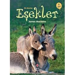 İlk Okuma - Eşekler