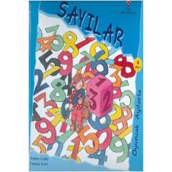 Sayılar - Oyuncak Ayılarla