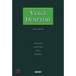 Vergi Denetimi
