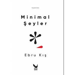 Minimal Şeyler