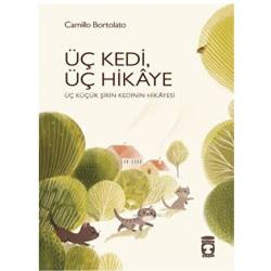 Üç Kedi, Üç Hikaye