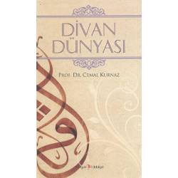 Divan Dünyası