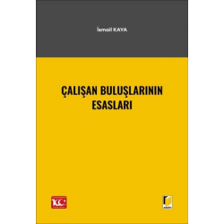 Çalışan Buluşlarının Esasları