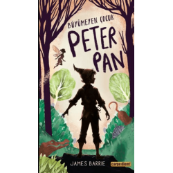 Büyümeyen Çocuk Peter Pan