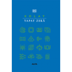 Kolay Yapay Zeka
