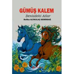 Gümüş Kalem/çocuk Romanı