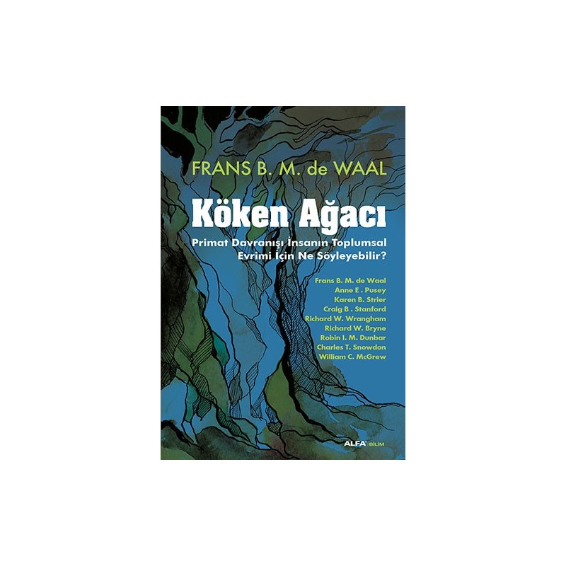 Köken Ağacı