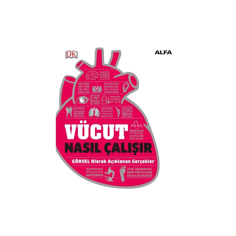 Vücut Nasıl Çalışır (Ciltli)