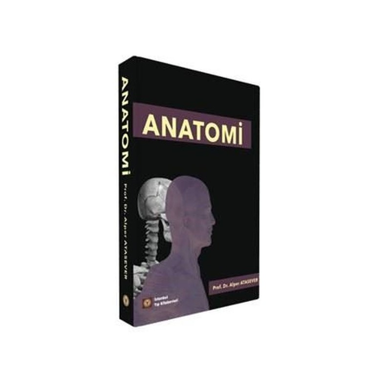 Anatomi