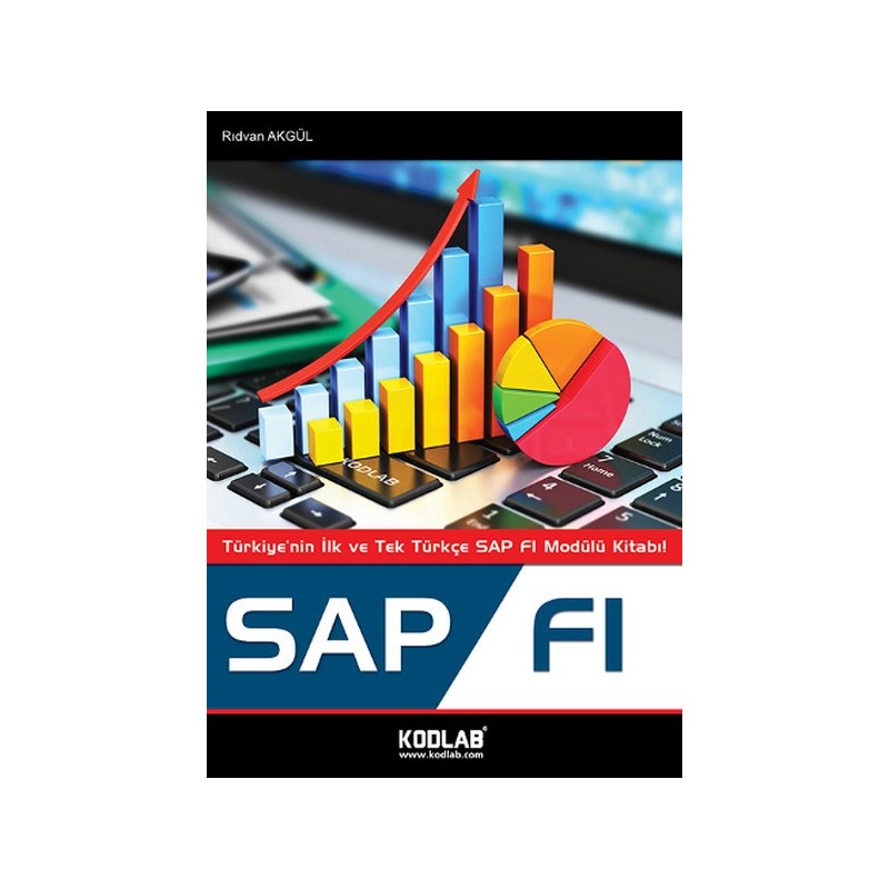 Sap Fi - Türkiye'nin İlk Ve Tek Türkçe Sap Fi Modülü Kitabı