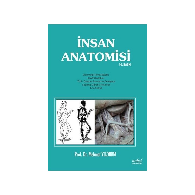 İnsan Anatomisi