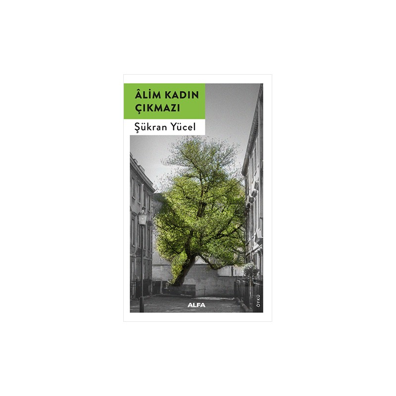 Alim Kadın Çıkmazı