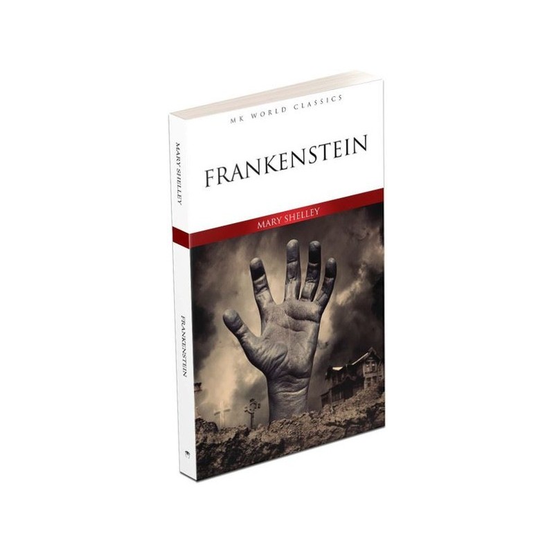 Frankenstein - İngilizce Roman