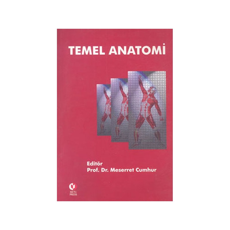 Temel Anatomi
