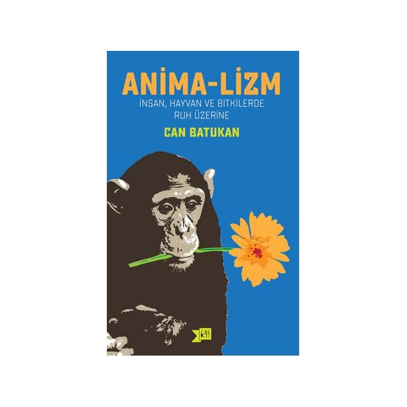 Anima Lizm