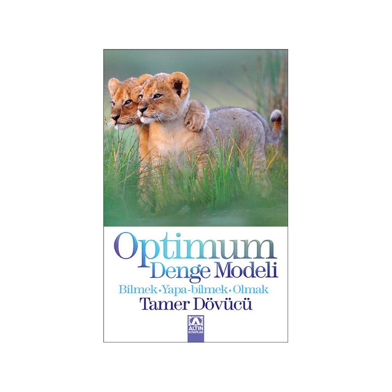 Optimum Denge Modeli