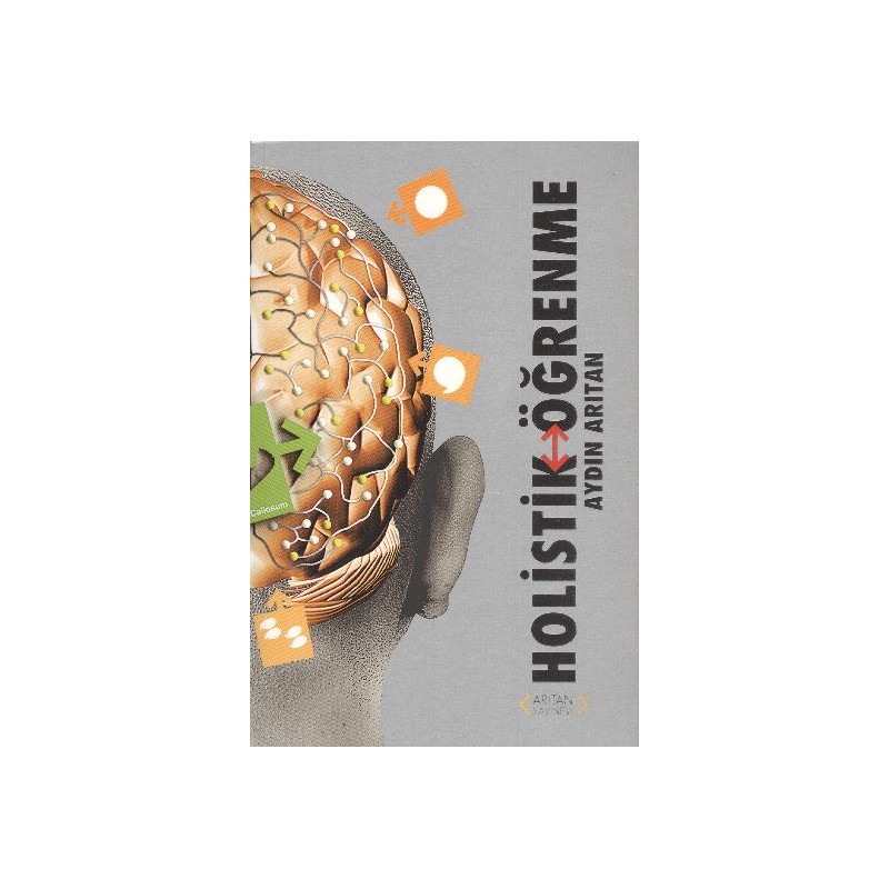 Holistik Öğrenme