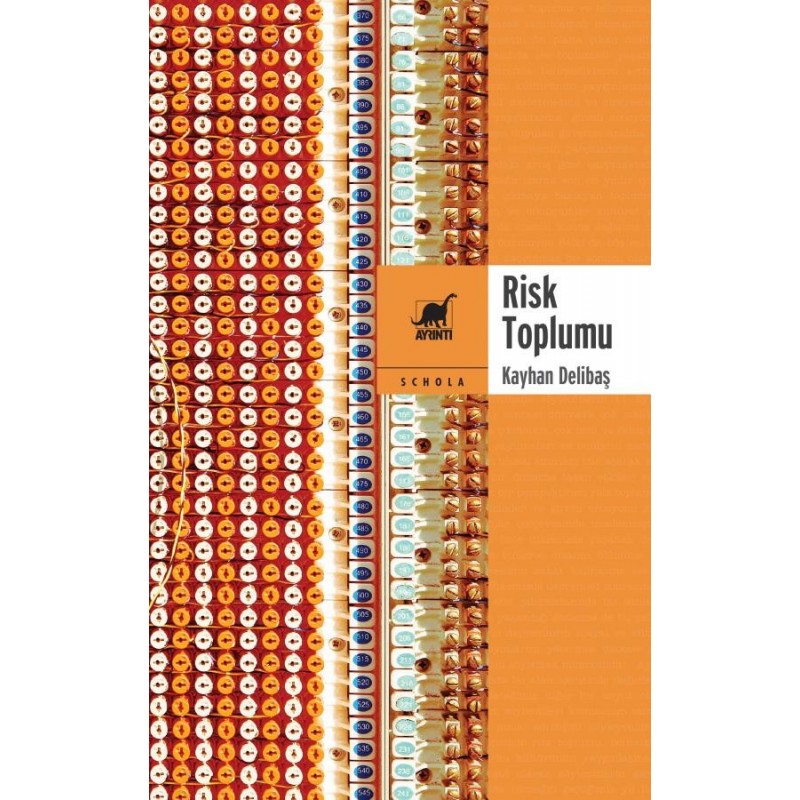 Risk Toplumu