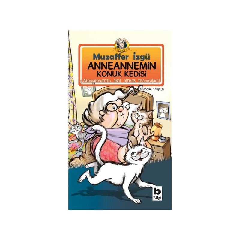 Anneannemin Konuk Kedisi