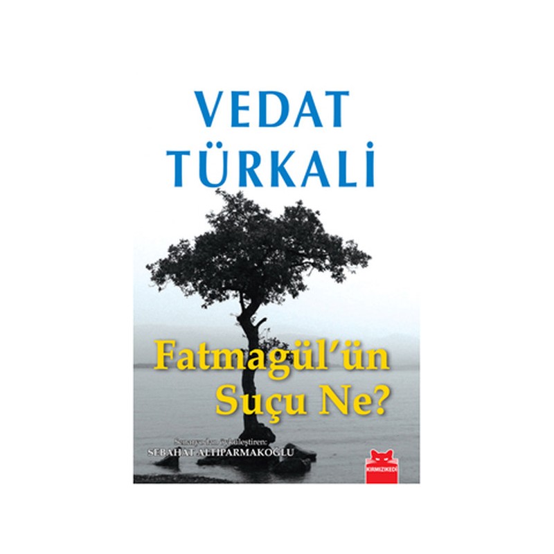 Fatmagül'ün Suçu Ne