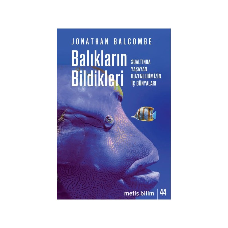 Balıkların Bildikleri Sualtında Yaşayan Kuzenlerimizin İç Dünyaları