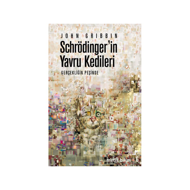 Schrödinger'in Yavru Kedileri Gerçekliğin Peşinde