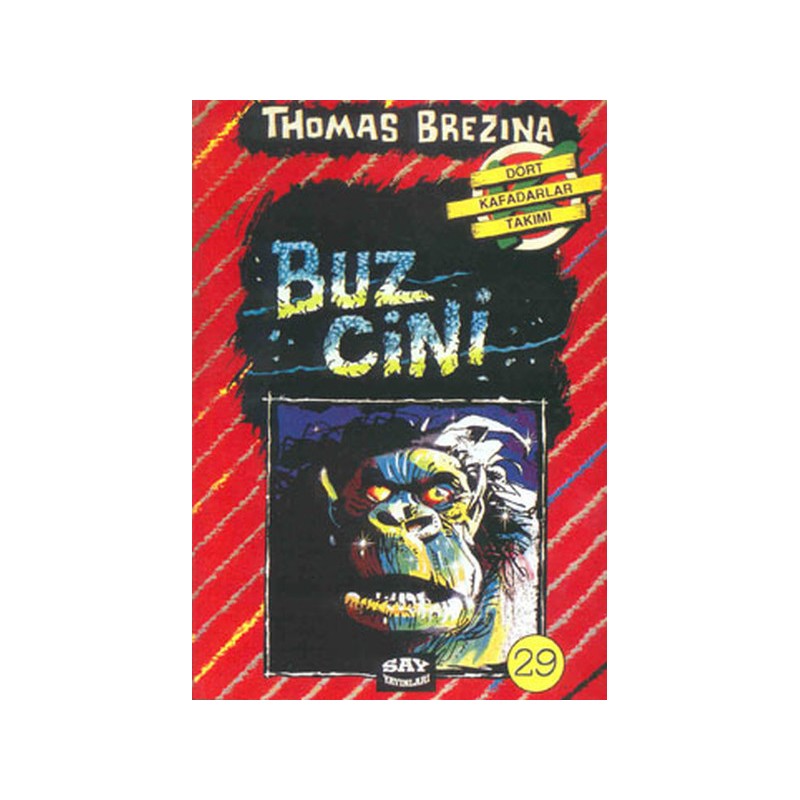 Buz Cini Dört Kafadarlar Takımı 29