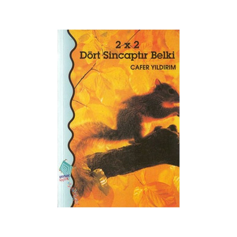 2 X 2 Dört Sincaptır Belki