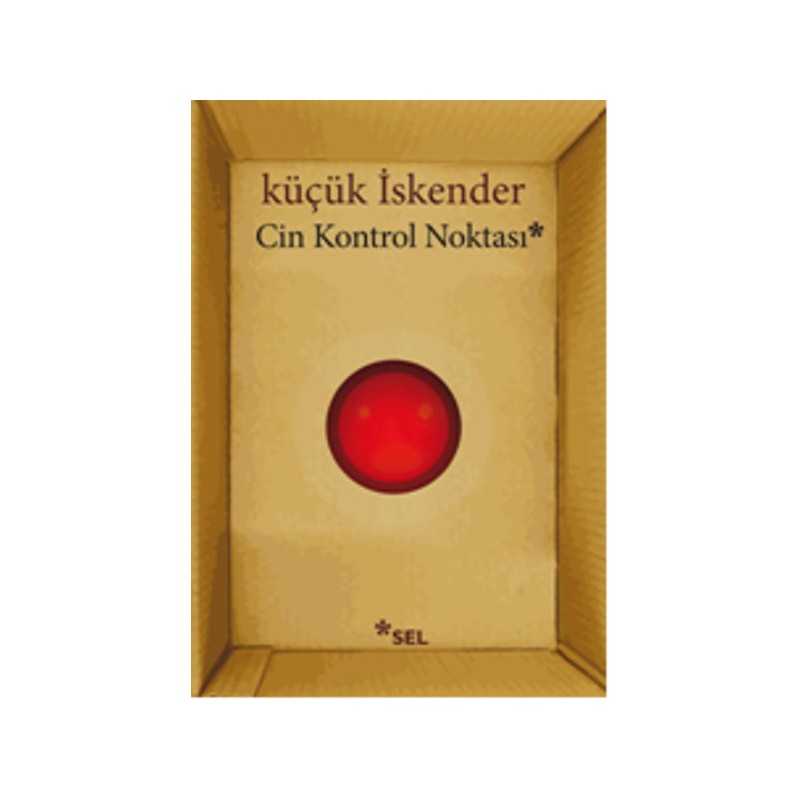 Cin Kontrol Noktası
