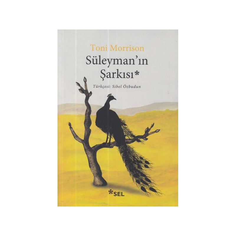 Süleymanın Şarkısı