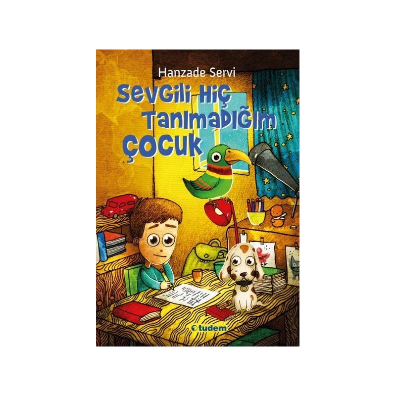 Sevgili Hiç Tanımadığım Çocuk