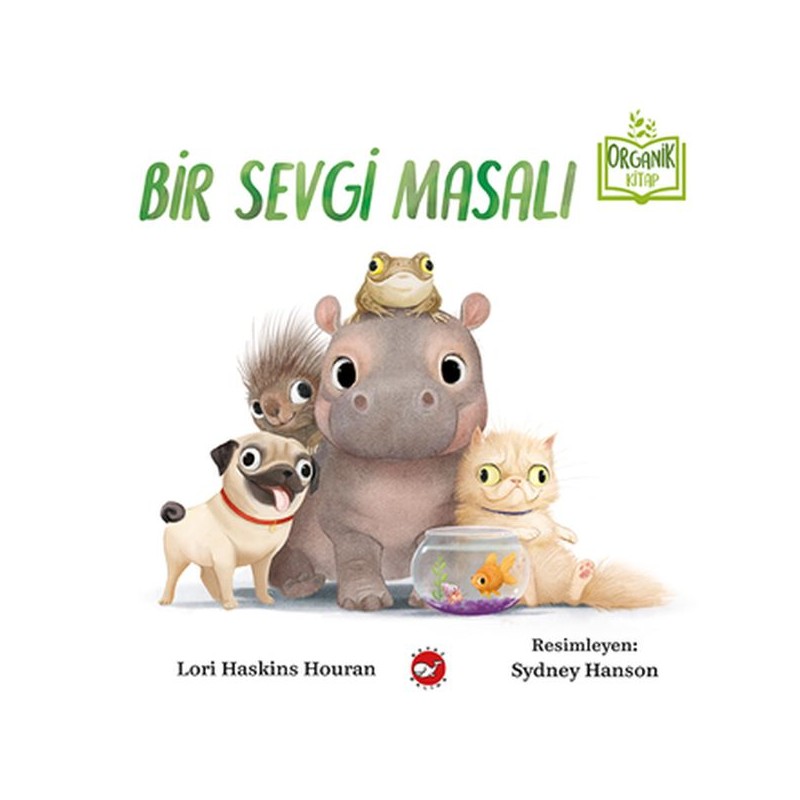 Bir Sevgi Masalı