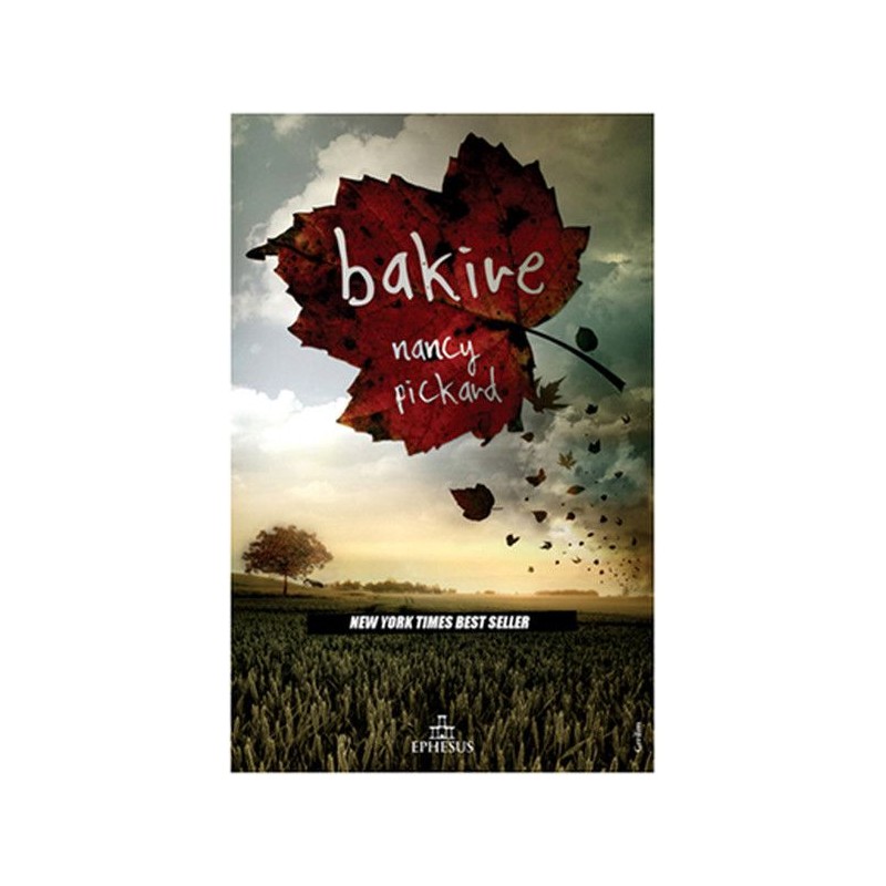 Bakire