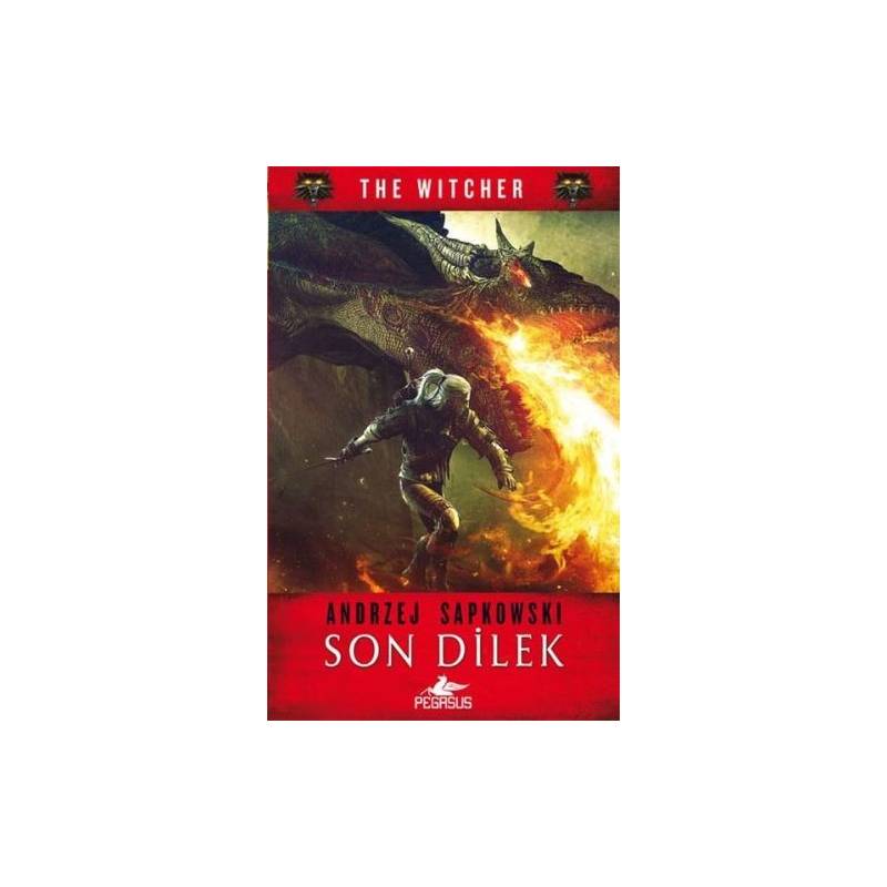 The Witcher Serisi 1 Son Dilek