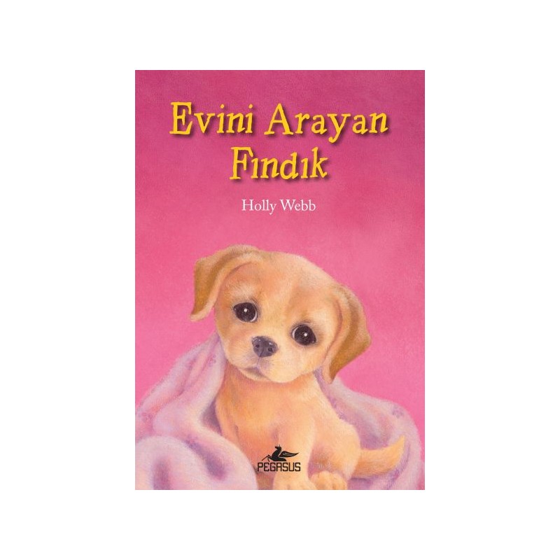 Evini Arayan Fındık