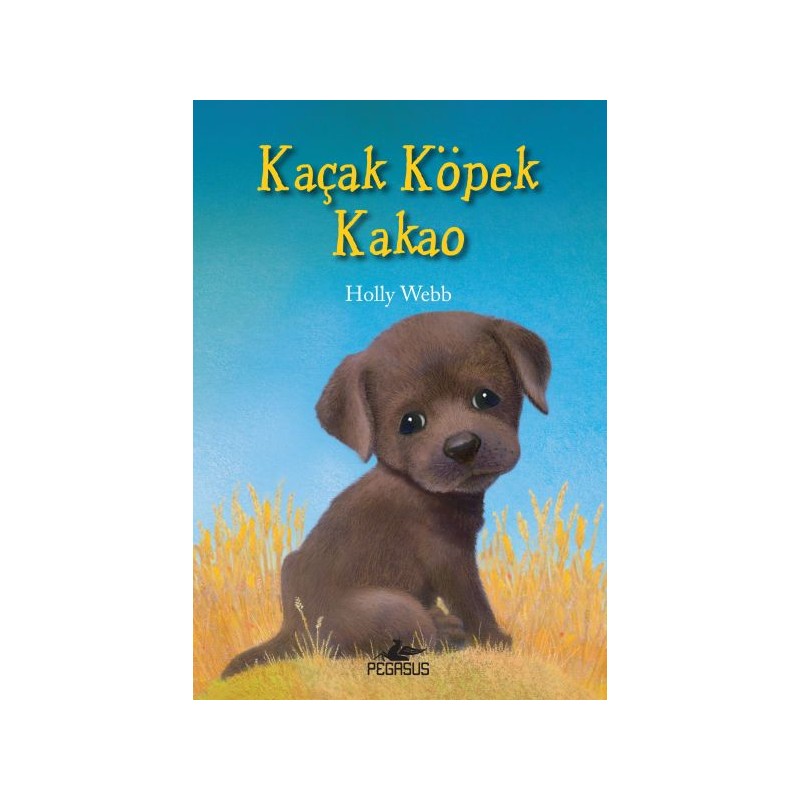 Kaçak Köpek Kakao