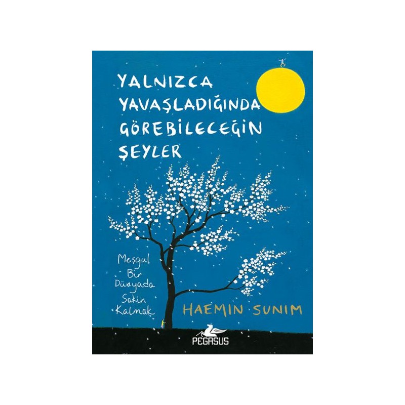 Yalnızca Yavaşladığında Görebileceğin Şeyler Ciltli