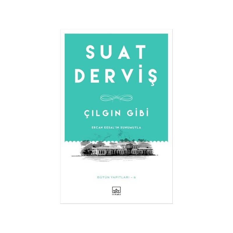 Çılgın Gibi