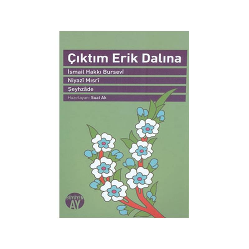 Çıktım Erik Dalına Çıktım Erik Dalına