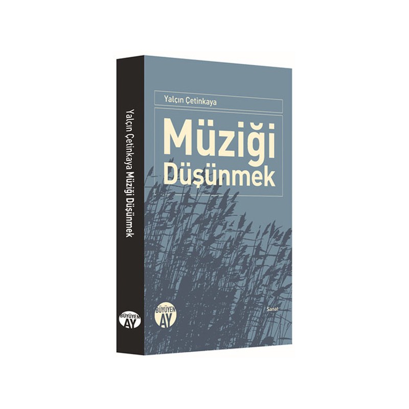 Müziği Düşünmek