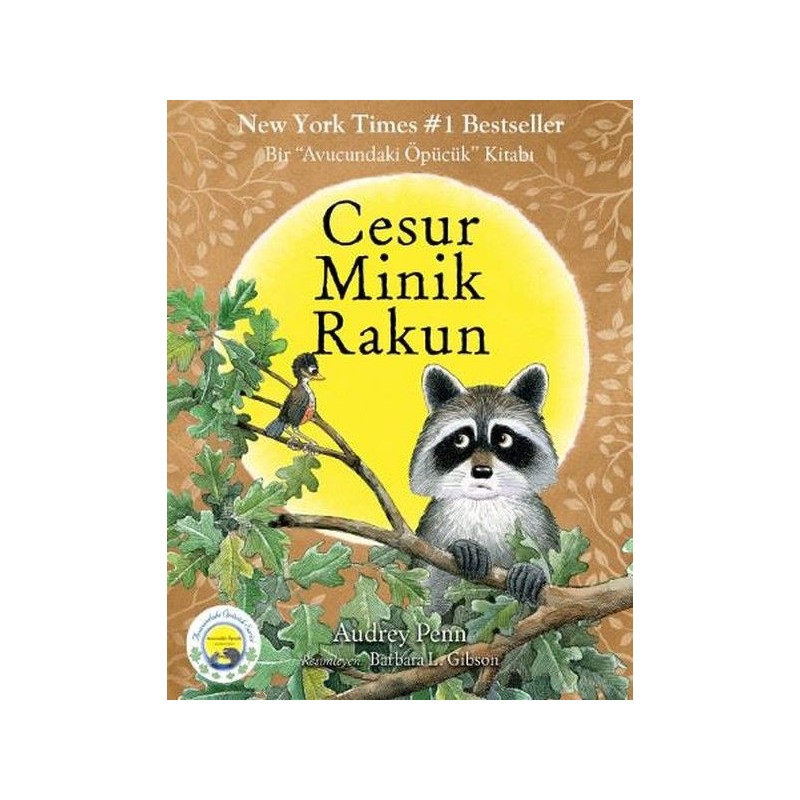 Cesur Minik Rakun